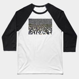 King Penguins by the Millions! Baseball T-Shirt